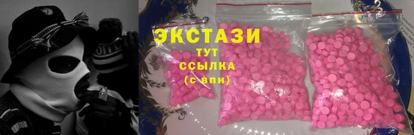 стаф Алексин