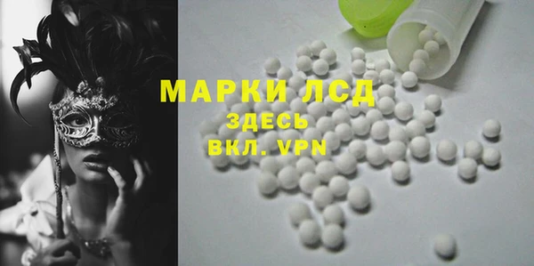 стаф Алексин