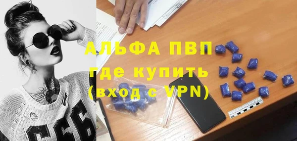 стаф Алексин