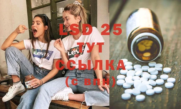 стаф Алексин