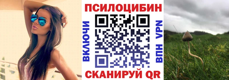 Псилоцибиновые грибы прущие грибы  hydra   Балабаново 