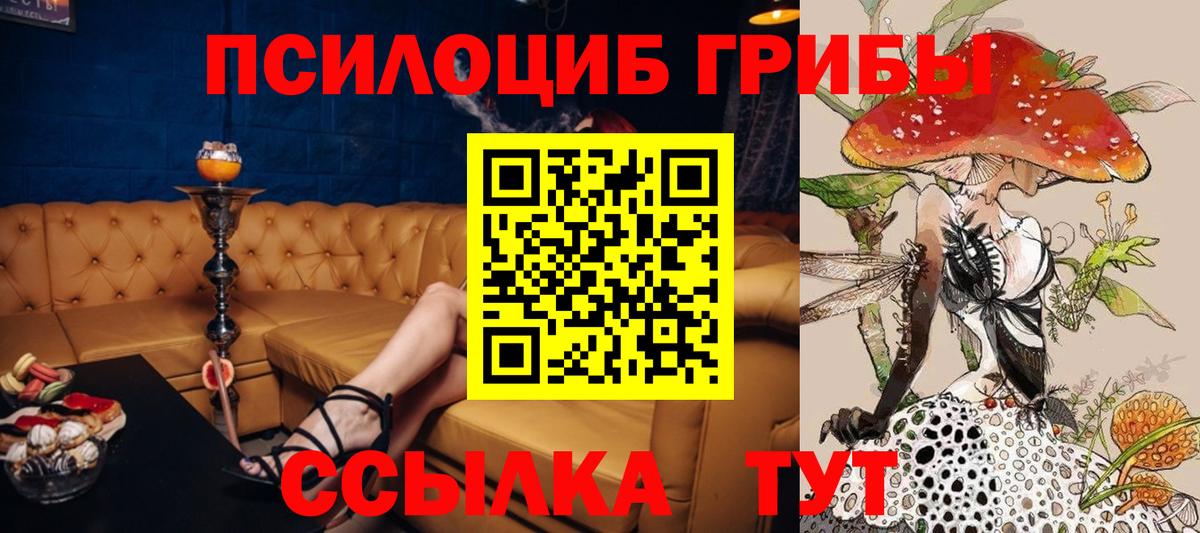 Псилоцибиновые грибы ЛСД Балабаново