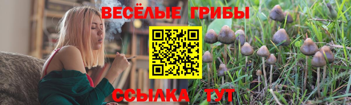 Псилоцибиновые грибы мухоморы  Вход с VPN  Балабаново  Псилоцибиновые грибы Magic Shrooms 