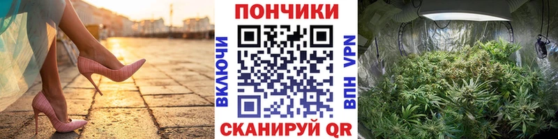 Конопля SATIVA & INDICA Балабаново